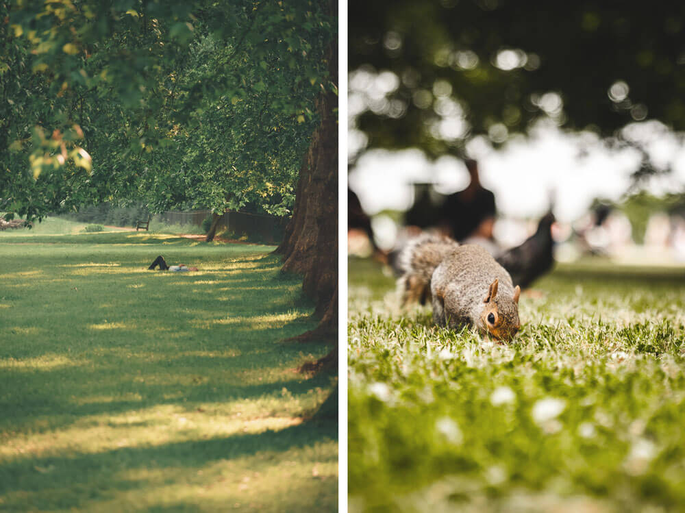 st james's park