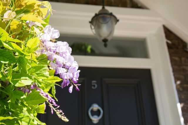 London in bloom.

It's that time of year when pops of purple wisteria announce that spring has officially arrived in the capital. We'd love to know where your favourite spots are to see these joyful blooms - let us know in the comment below.

#londondoorcompany #londondoor #londondoorco #doorsoflondon #london #house #home #style #doorsofinstagram #doortrait #wisteria #wisteriahysteria #londonstreets #londoninbloom #spring #springblooms #visitlondon #thisislondon #prettycitylondon #frontdoorsoflondon